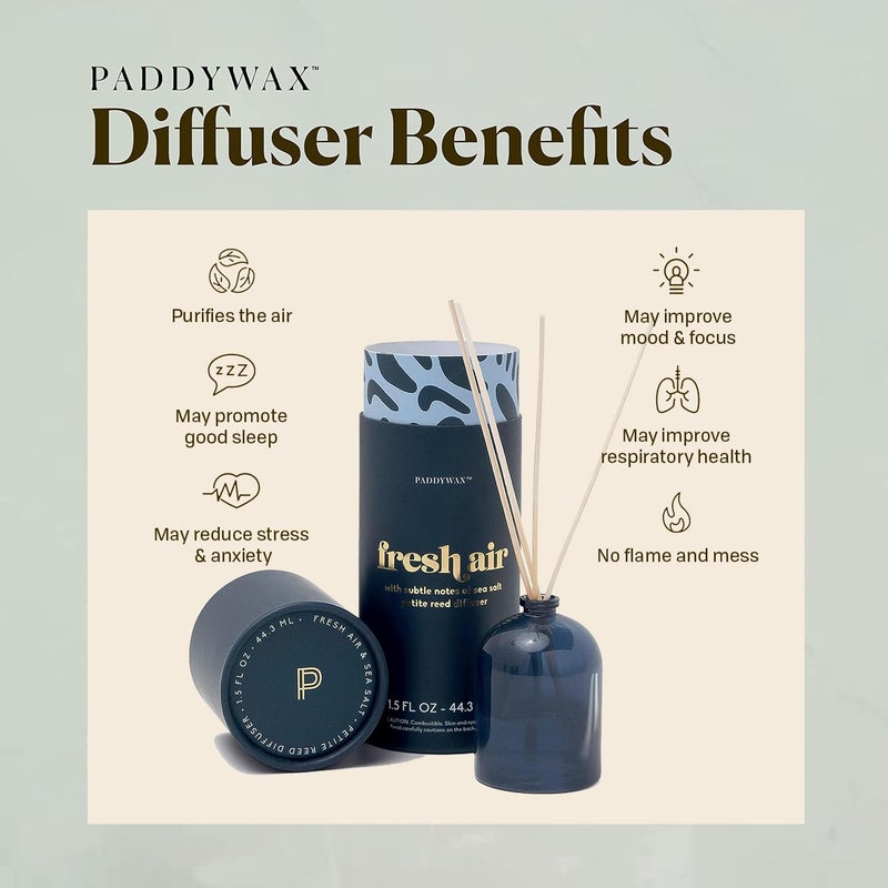 Paddywax Candles Petite Collection, Reed Diffuser for Home Use, Navy - Fresh Air - Image 5